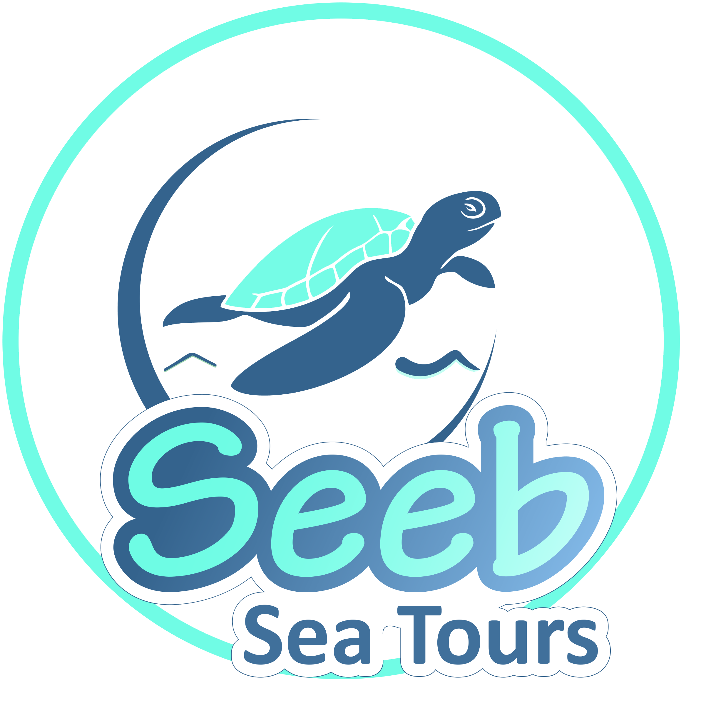 Seeb Sea Tours